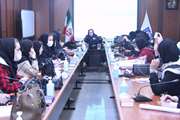 برگزاری جلسه آموزشی برنامه سالمندان پرخطر ویژه مراقبین سلامت شبکه بهداشت و درمان اسلامشهر